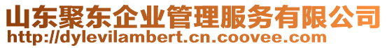 山東聚東企業(yè)管理服務(wù)有限公司