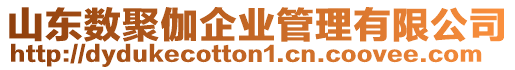 山東數(shù)聚伽企業(yè)管理有限公司