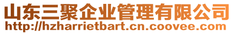 山東三聚企業(yè)管理有限公司