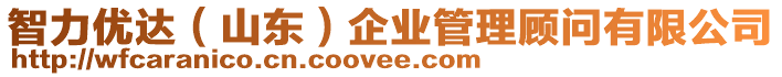 智力優(yōu)達(山東)企業(yè)管理顧問有限公司