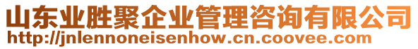 山東業(yè)勝聚企業(yè)管理咨詢有限公司