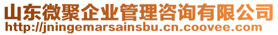 山東微聚企業管理咨詢有限公司