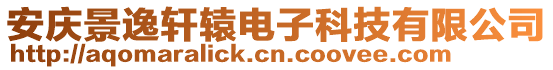 安慶景逸軒轅電子科技有限公司