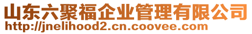 山東六聚福企業管理有限公司