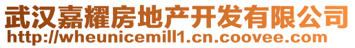 武漢嘉耀房地產(chǎn)開(kāi)發(fā)有限公司