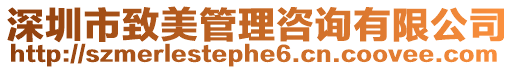 深圳市致美管理咨詢有限公司