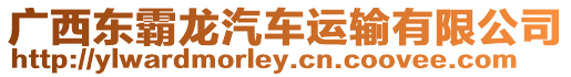 廣西東霸龍汽車運輸有限公司