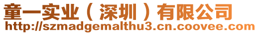 童一實業(深圳)有限公司