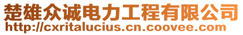 楚雄眾誠電力工程有限公司