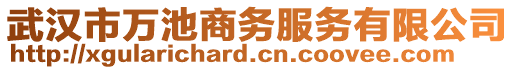 武漢市萬池商務(wù)服務(wù)有限公司