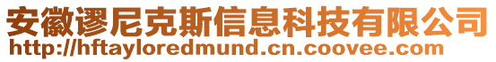 安徽謬尼克斯信息科技有限公司