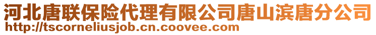 河北唐聯保險代理有限公司唐山濱唐分公司