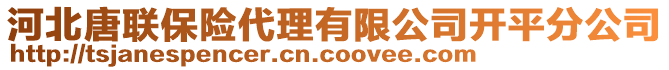 河北唐聯(lián)保險(xiǎn)代理有限公司開平分公司