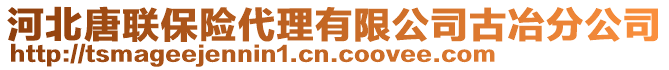 河北唐聯(lián)保險(xiǎn)代理有限公司古冶分公司