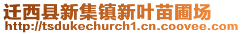遷西縣新集鎮(zhèn)新葉苗圃場