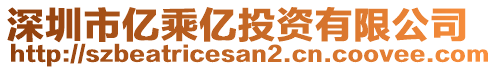 深圳市億乘億投資有限公司