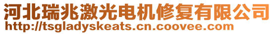 河北瑞兆激光電機修復有限公司