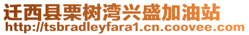 遷西縣栗樹灣興盛加油站