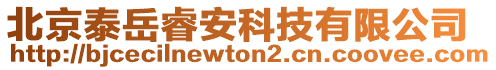 北京泰岳睿安科技有限公司