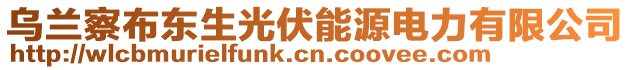 烏蘭察布東生光伏能源電力有限公司