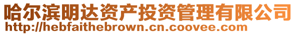 哈爾濱明達資產投資管理有限公司