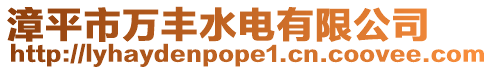漳平市萬豐水電有限公司
