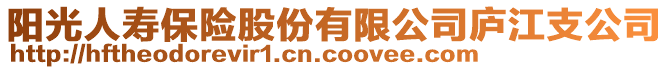 陽(yáng)光人壽保險(xiǎn)股份有限公司廬江支公司