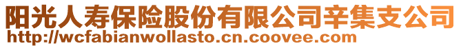 陽光人壽保險股份有限公司辛集支公司