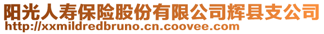 陽光人壽保險股份有限公司輝縣支公司