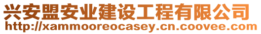 興安盟安業(yè)建設(shè)工程有限公司