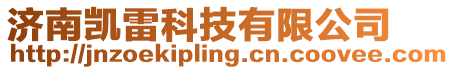 濟南凱雷科技有限公司