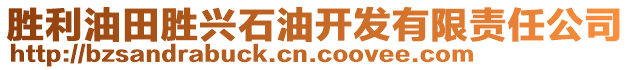 勝利油田勝興石油開發(fā)有限責(zé)任公司