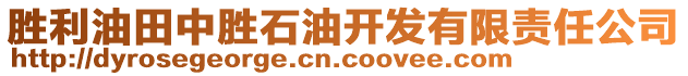 勝利油田中勝石油開發(fā)有限責任公司