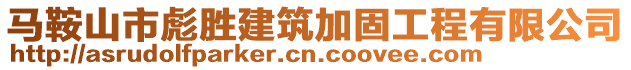 馬鞍山市彪勝建筑加固工程有限公司