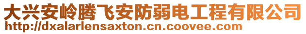 大興安嶺騰飛安防弱電工程有限公司