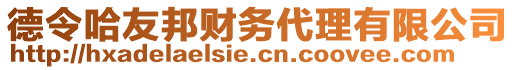 德令哈友邦財(cái)務(wù)代理有限公司