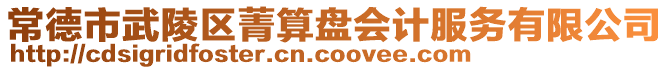 常德市武陵區菁算盤會計服務有限公司