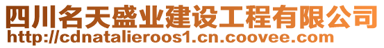 四川名天盛業建設工程有限公司