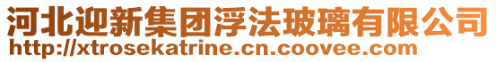 河北迎新集團浮法玻璃有限公司