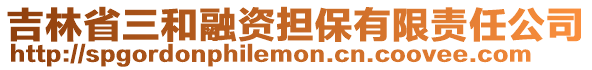 吉林省三和融資擔保有限責任公司