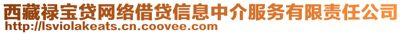 西藏祿寶貸網(wǎng)絡(luò)借貸信息中介服務(wù)有限責(zé)任公司