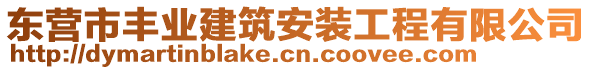東營市豐業建筑安裝工程有限公司