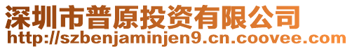 深圳市普原投資有限公司