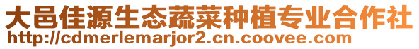 大邑佳源生態(tài)蔬菜種植專業(yè)合作社