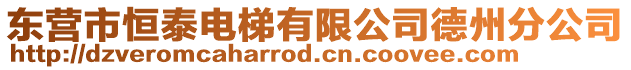 東營市恒泰電梯有限公司德州分公司