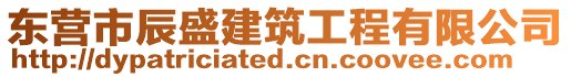 東營市辰盛建筑工程有限公司