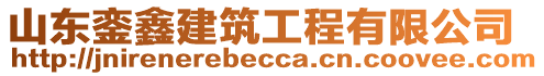 山東鑾鑫建筑工程有限公司