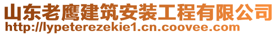 山東老鷹建筑安裝工程有限公司