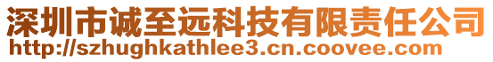 深圳市誠至遠科技有限責任公司