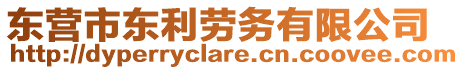 東營(yíng)市東利勞務(wù)有限公司